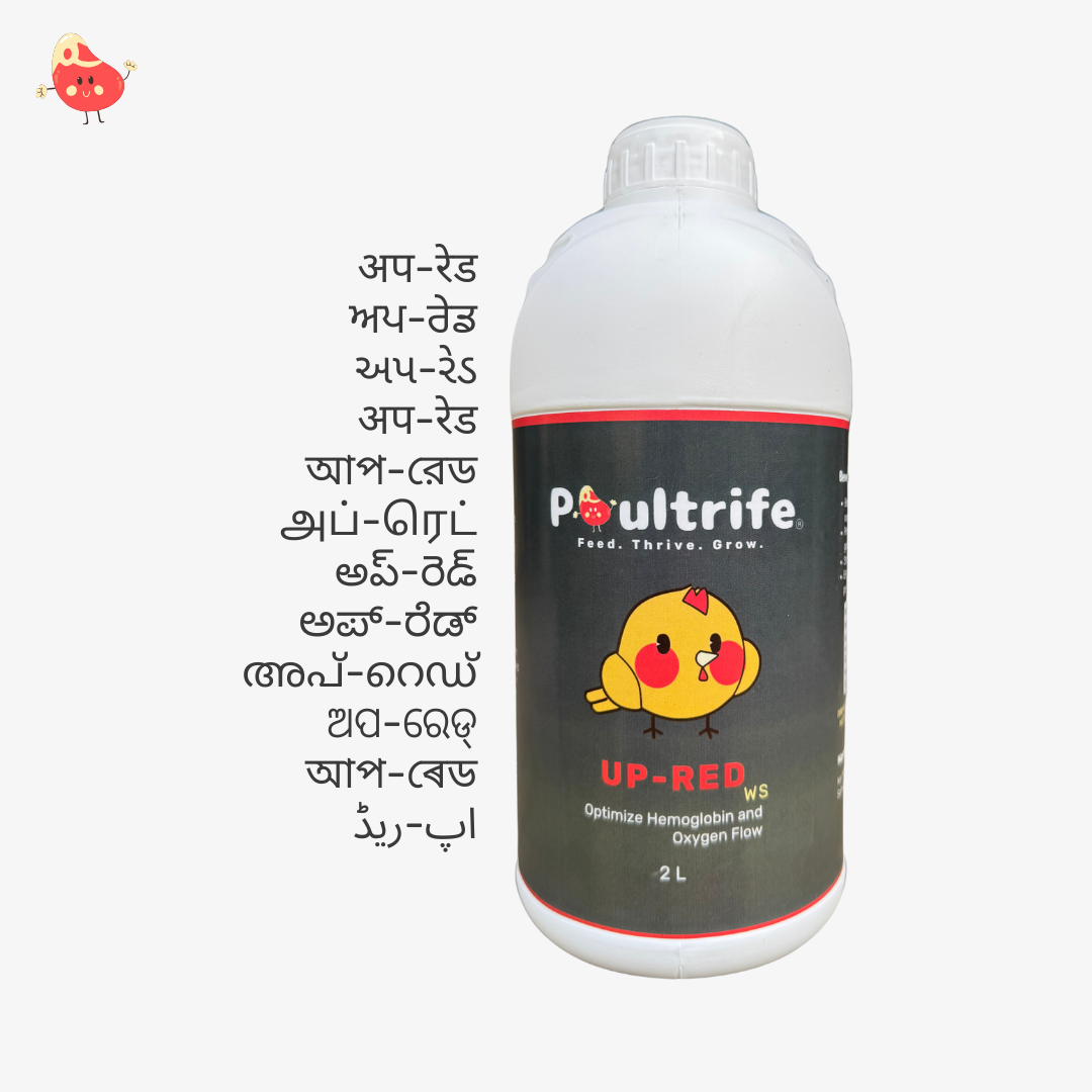 UP-RED WS – Weight Booster + Iron Tonic for Poultry