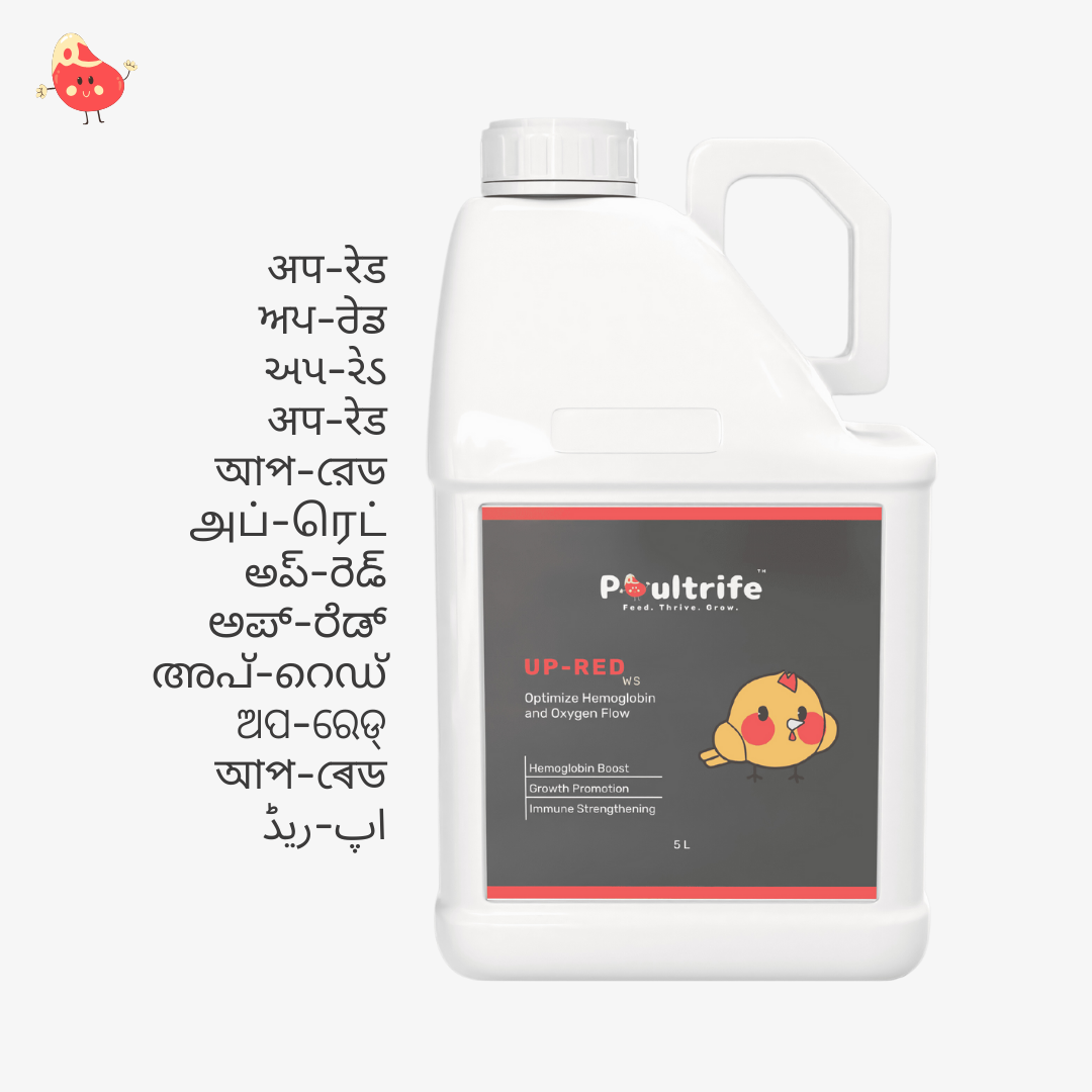 UP-RED WS – Weight Booster + Iron Tonic for Poultry