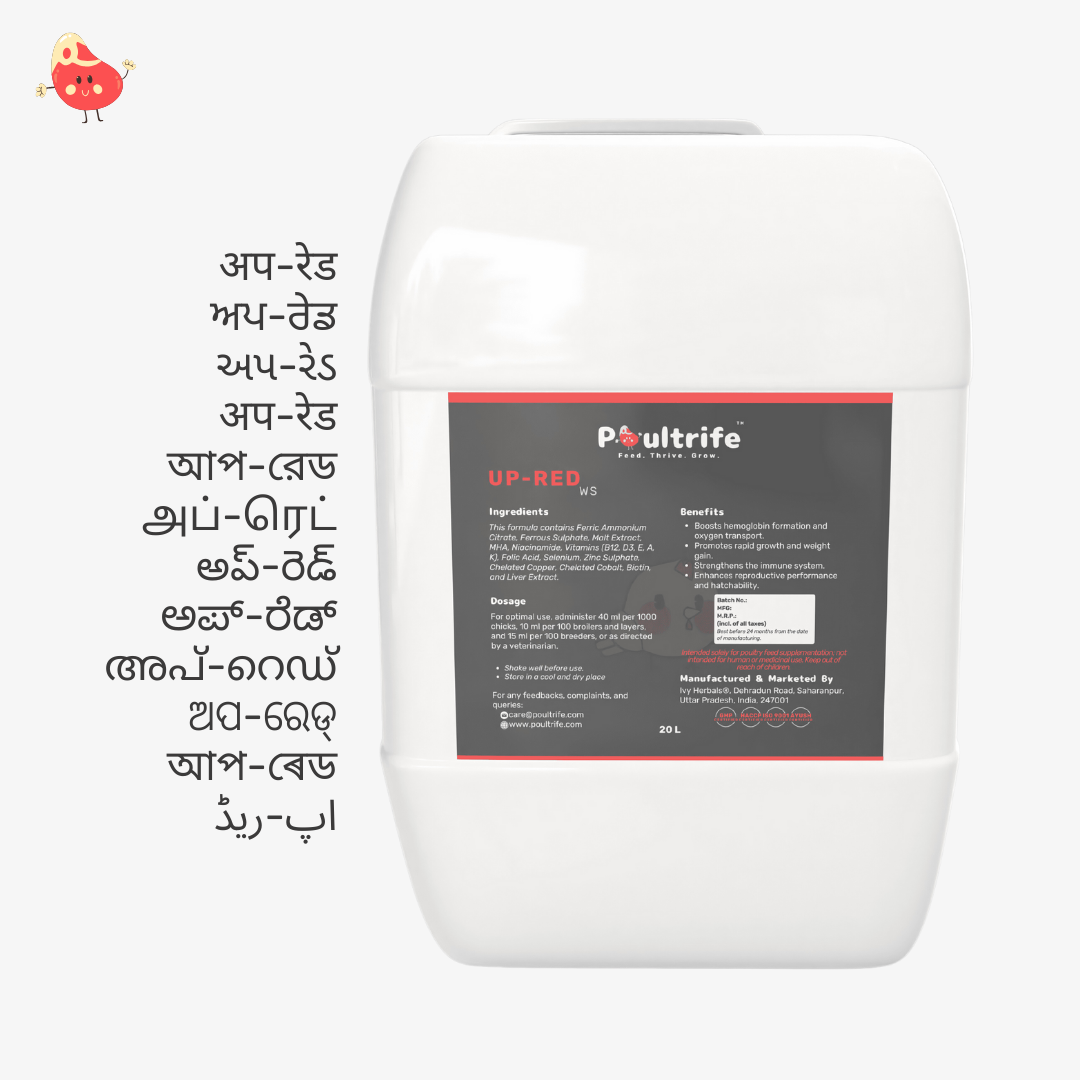 UP-RED WS – Weight Booster + Iron Tonic for Poultry