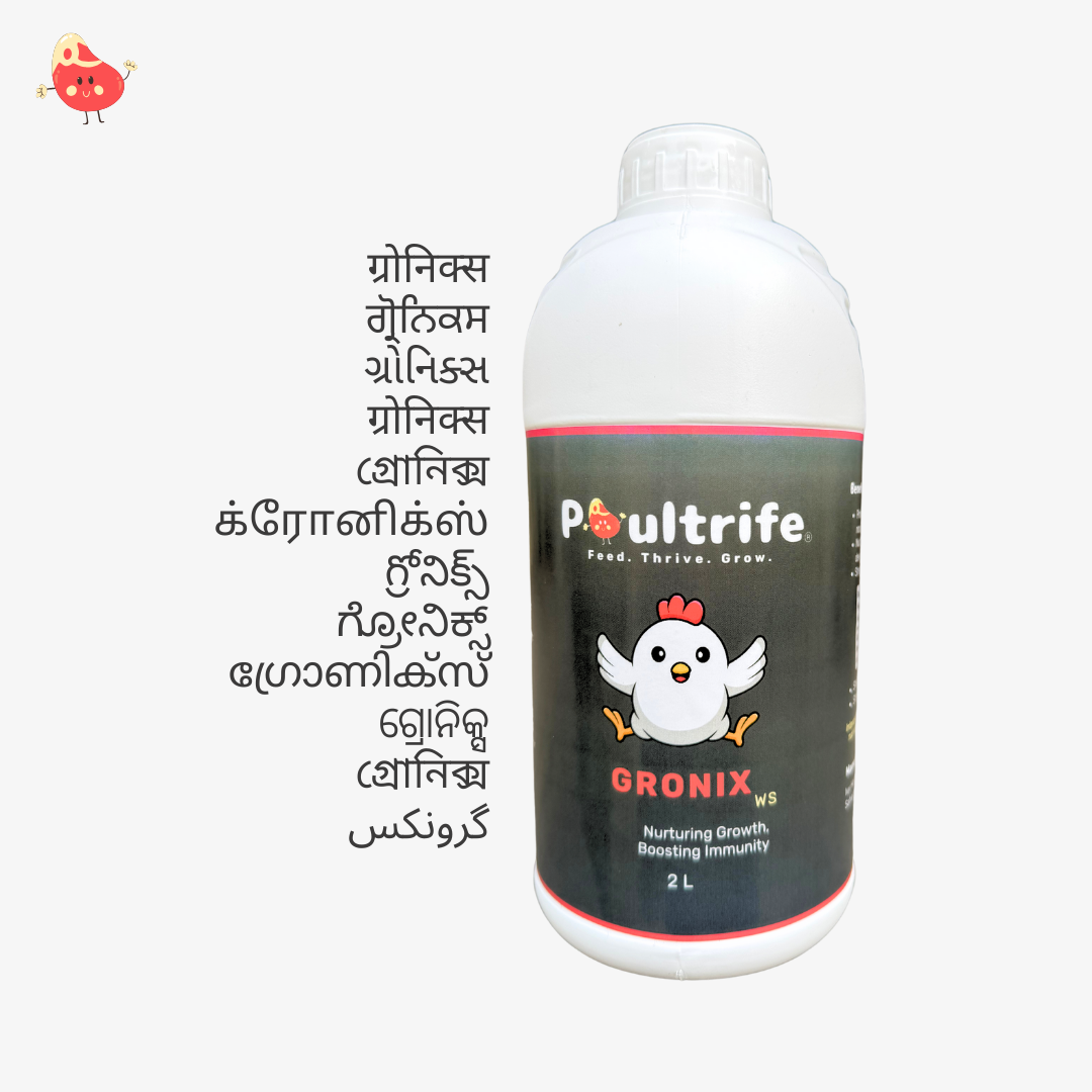 GRONIX WS – Complete Starter Tonic for Young Chicks GRONIX WS – Complete Starter Tonic for Young Chicks