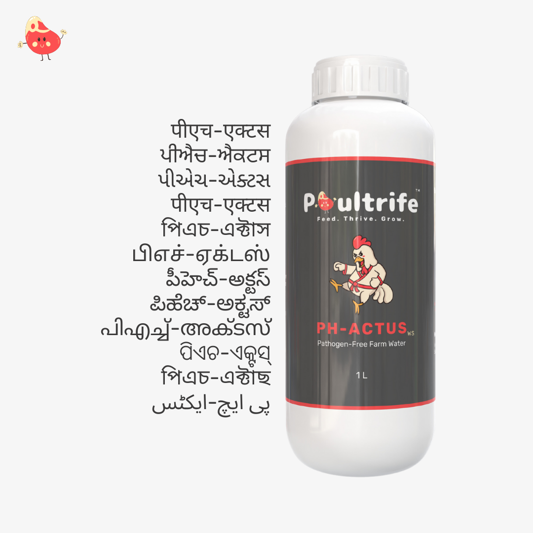 PH-ACTUS WS – Clean Water, Healthy Poultry