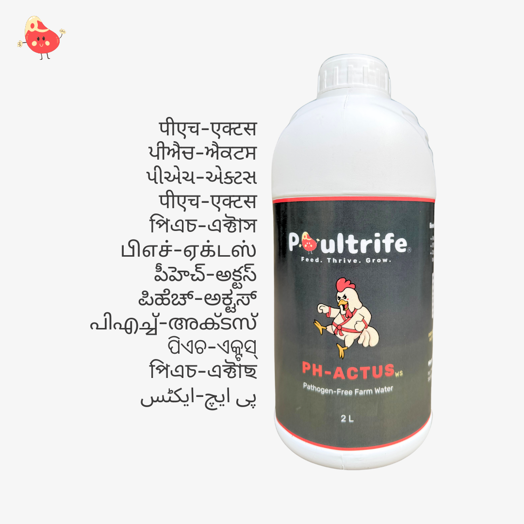 PH-ACTUS WS – Clean Water, Healthy Poultry