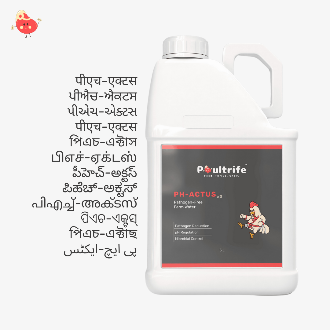 PH-ACTUS WS – Clean Water, Healthy Poultry
