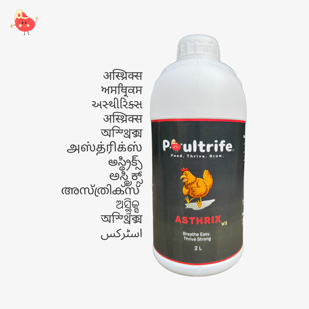 ASTHRIX WS – Herbal Relief for Respiratory Health in Poultry