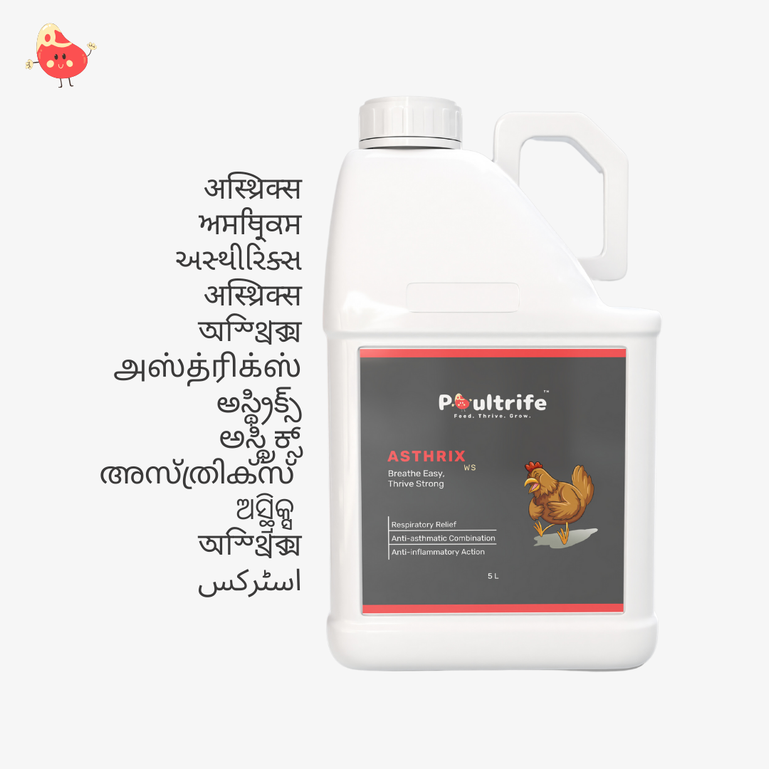 ASTHRIX WS – Herbal Relief for Respiratory Health in Poultry