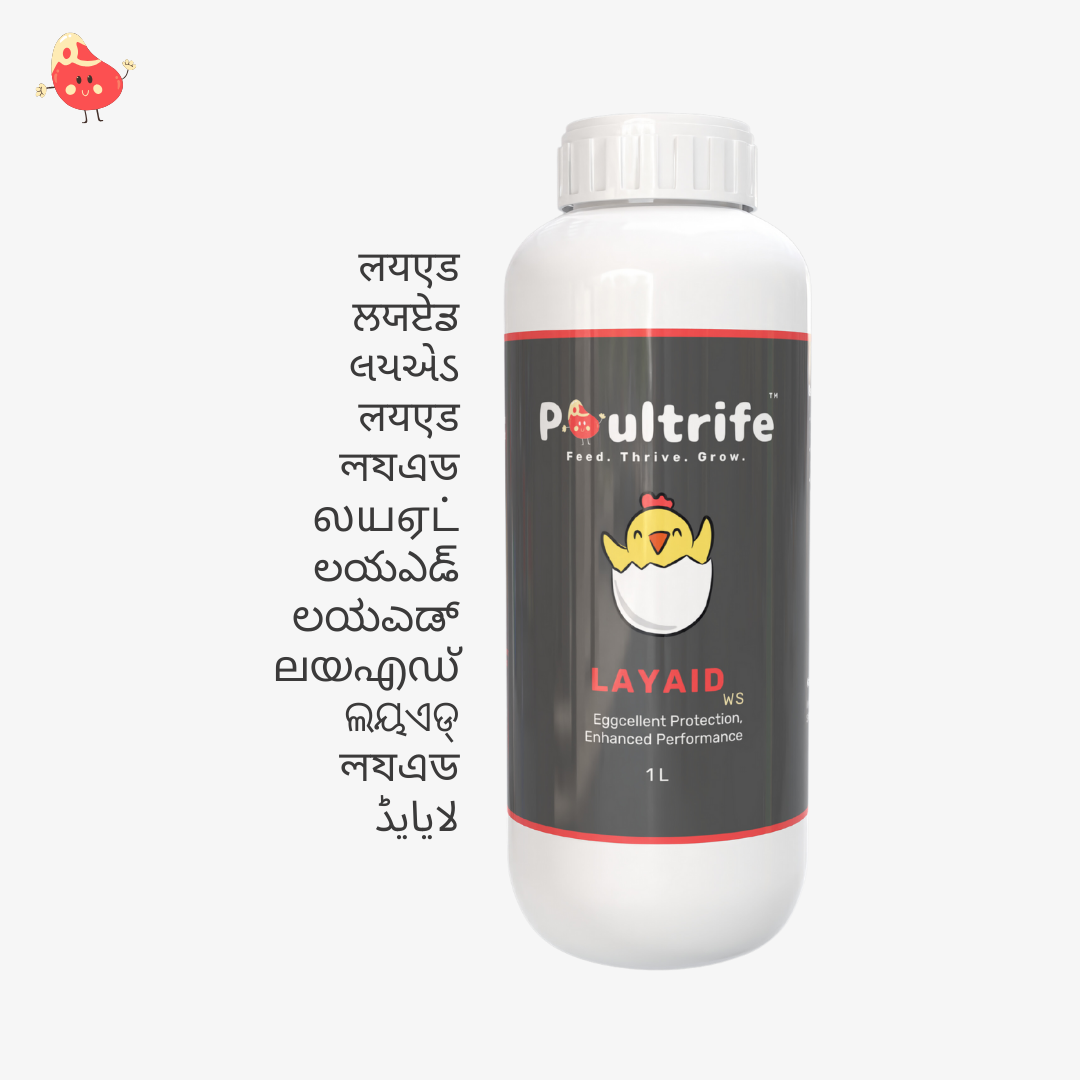 LAYAID WS – Eggcellent Protection for Poultry Health LAYAID WS – Eggcellent Protection for Poultry Health
