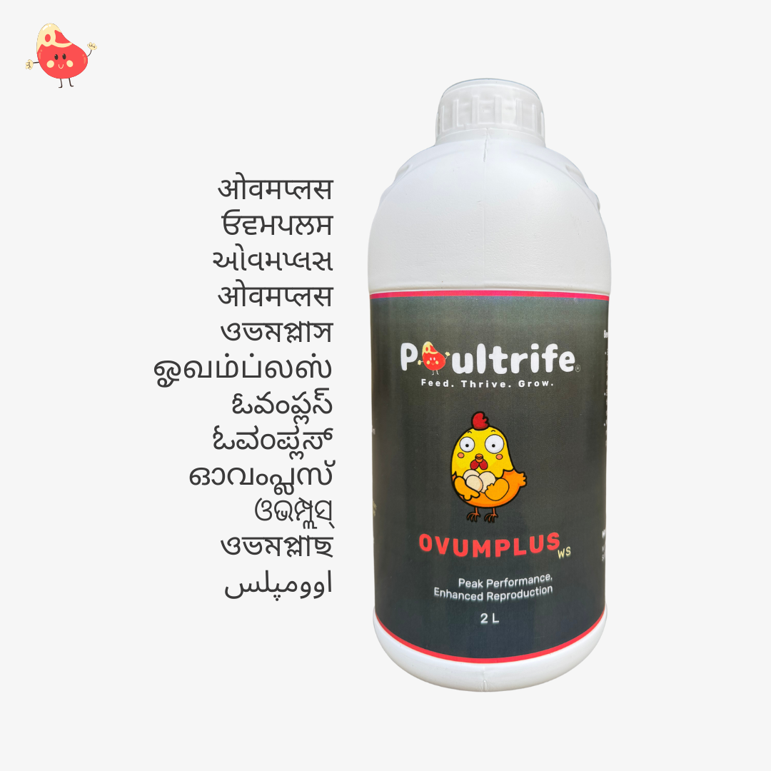 OVUMPLUS WS – Reproductive Performance via Water