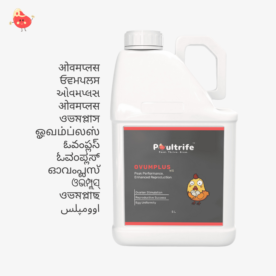 OVUMPLUS WS – Reproductive Performance via Water