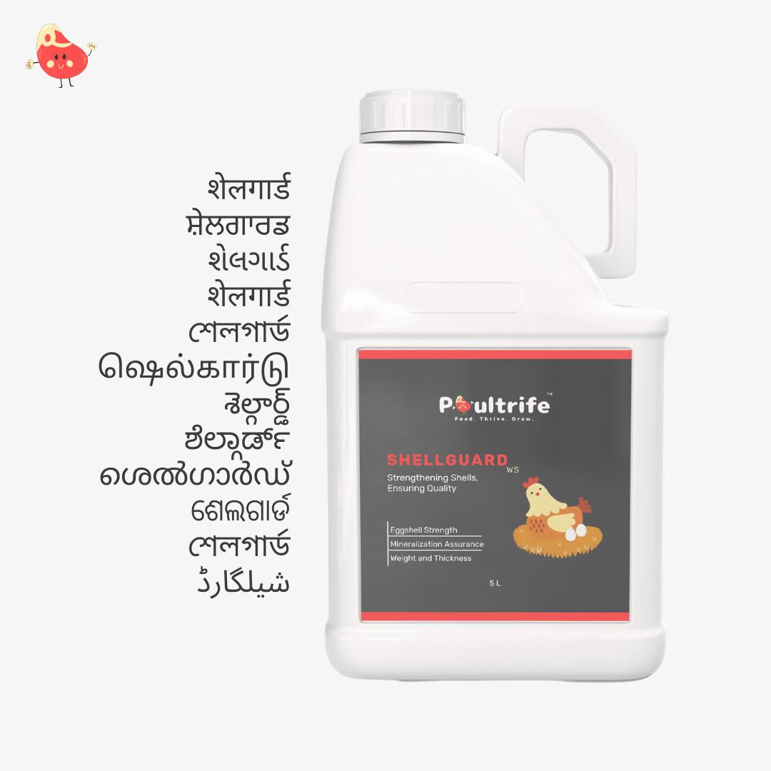 SHELL GUARD WS – Eggshell Quality via Water