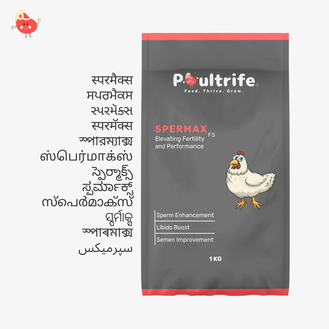 SPERMAX FS – Fertility Booster Through Feed