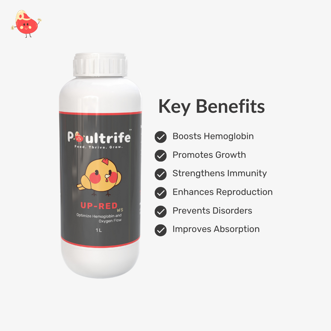UP-RED WS – Weight Booster + Iron Tonic for Poultry