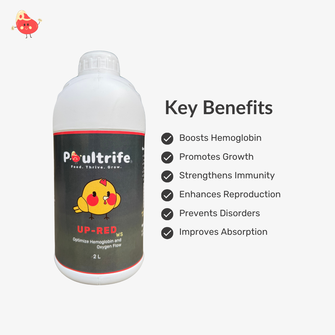 UP-RED WS – Weight Booster + Iron Tonic for Poultry