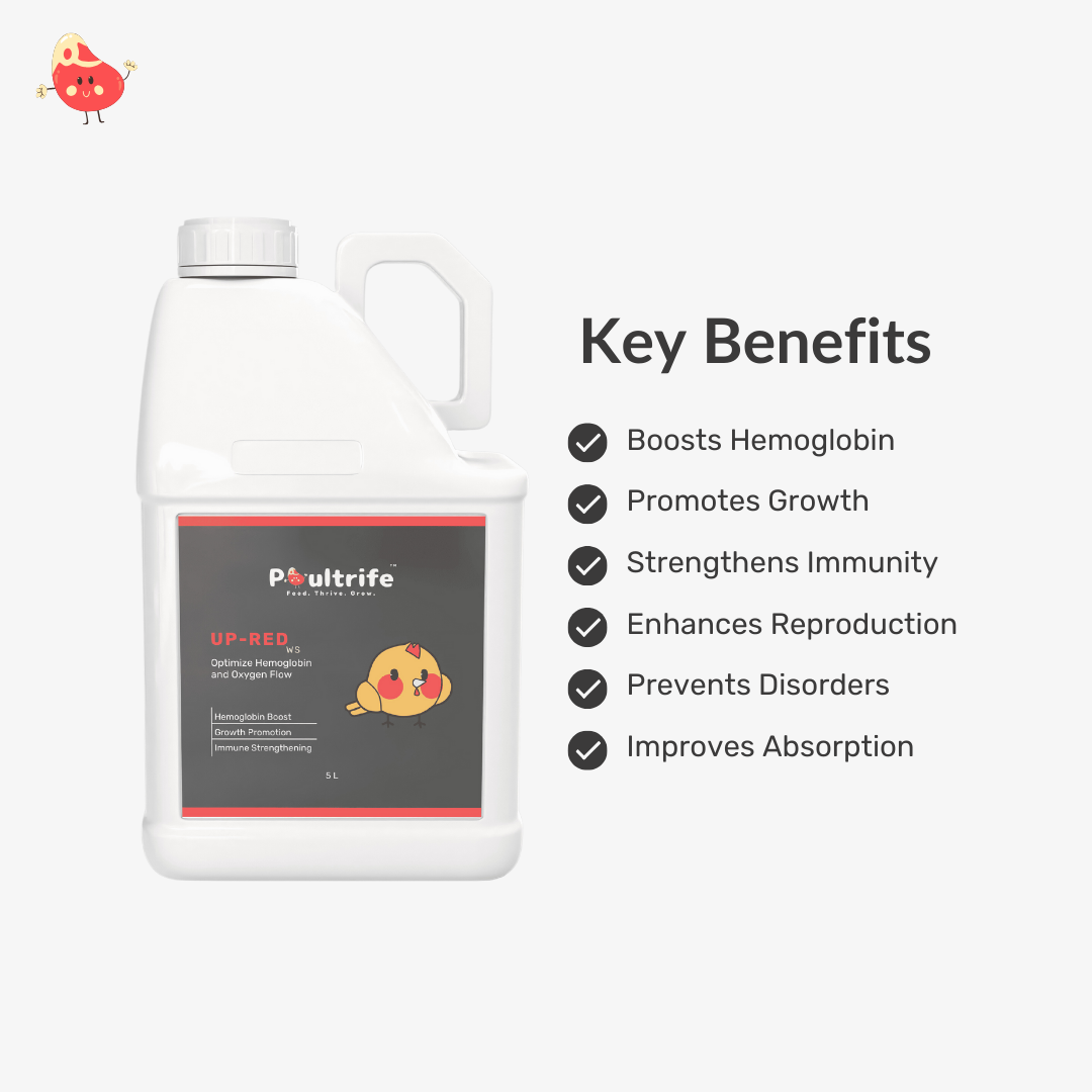 UP-RED WS – Weight Booster + Iron Tonic for Poultry
