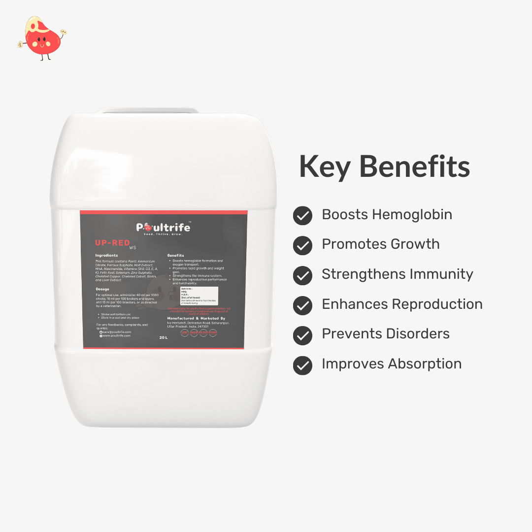 UP-RED WS – Weight Booster + Iron Tonic for Poultry