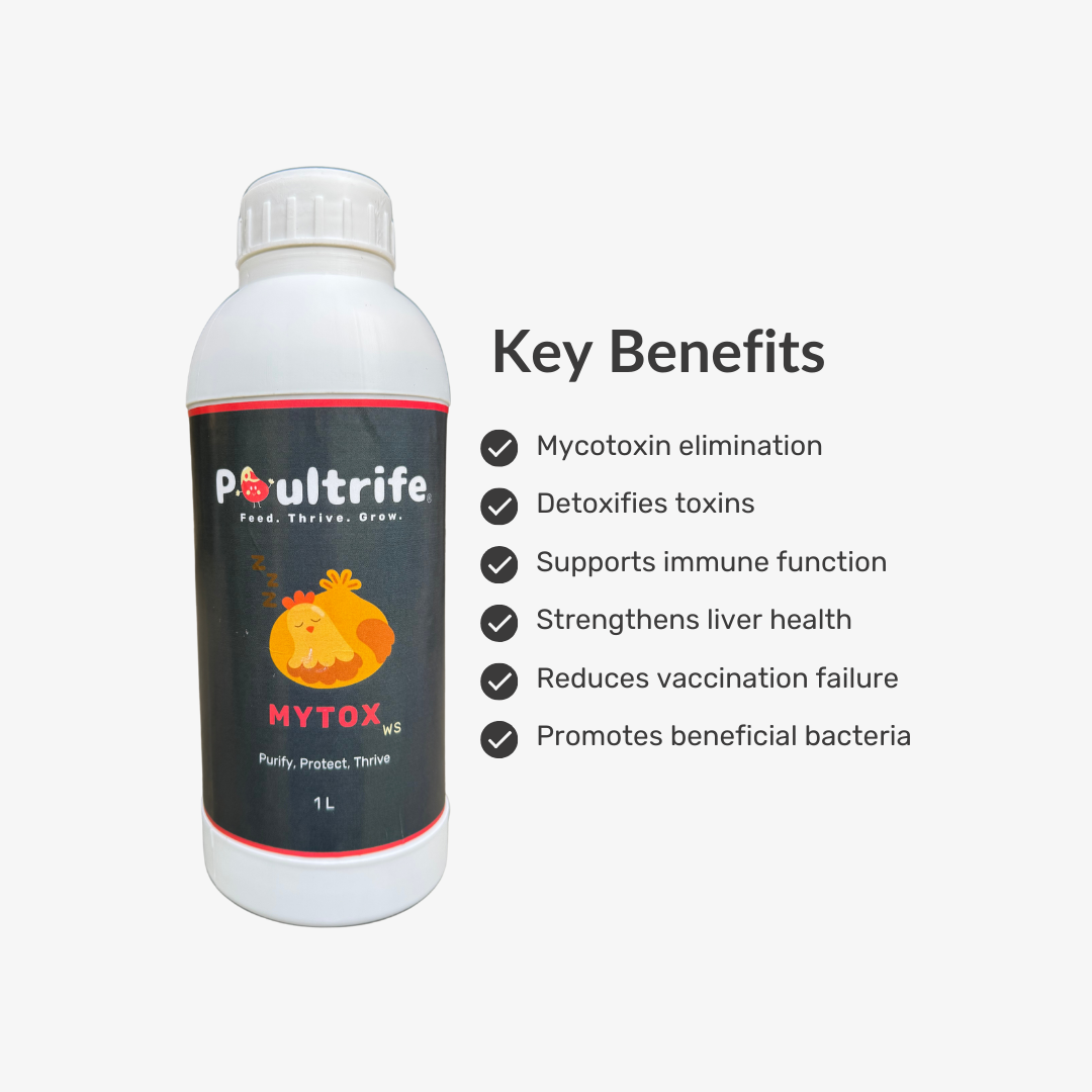 MYTOX WS – Dual-Action Toxin Binder