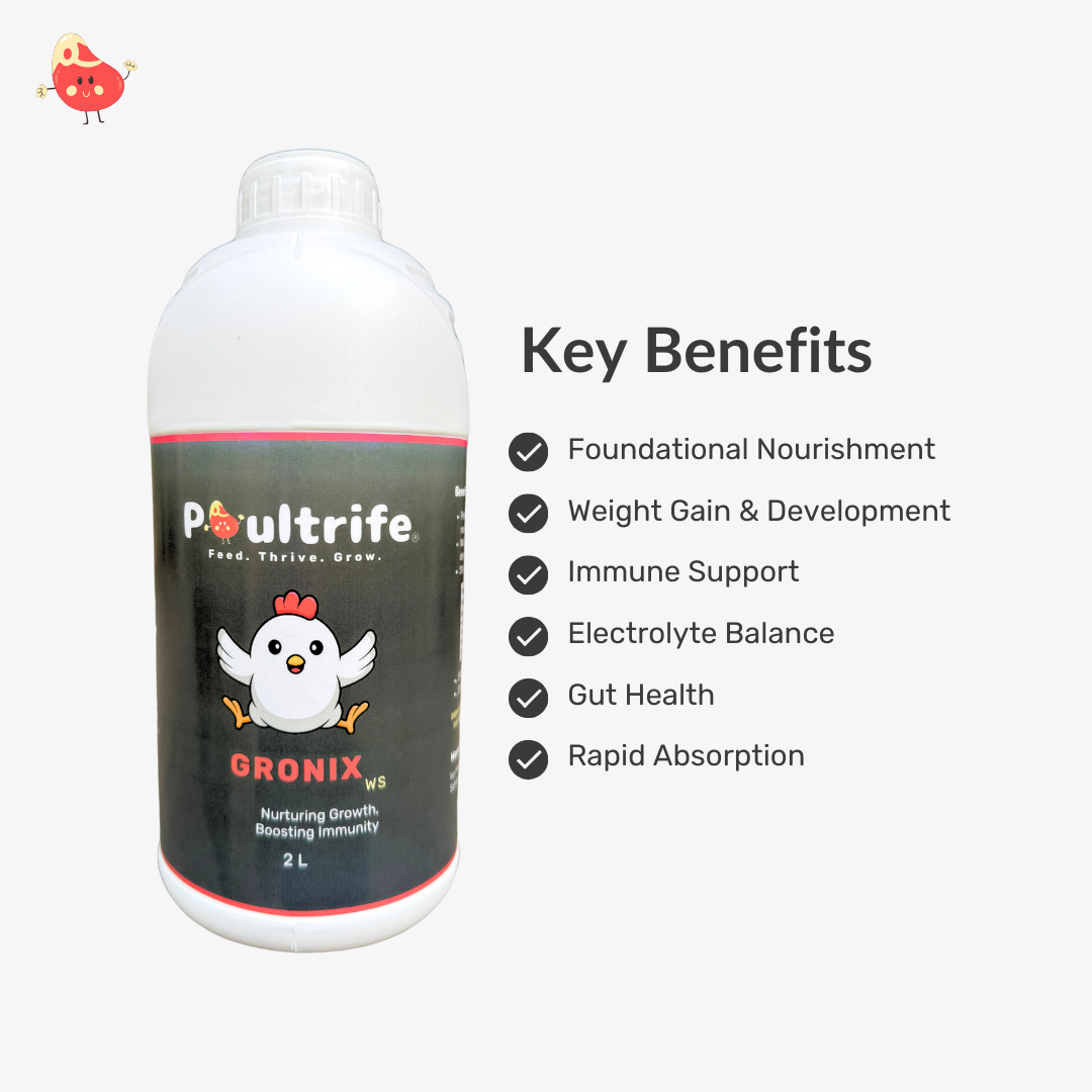 GRONIX WS – Complete Starter Tonic for Young Chicks GRONIX WS – Complete Starter Tonic for Young Chicks