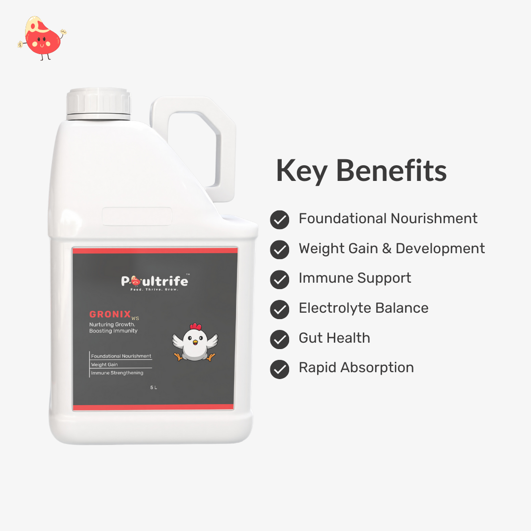 GRONIX WS – Complete Starter Tonic for Young Chicks GRONIX WS – Complete Starter Tonic for Young Chicks