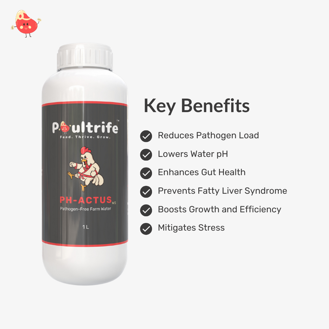 PH-ACTUS WS – Clean Water, Healthy Poultry