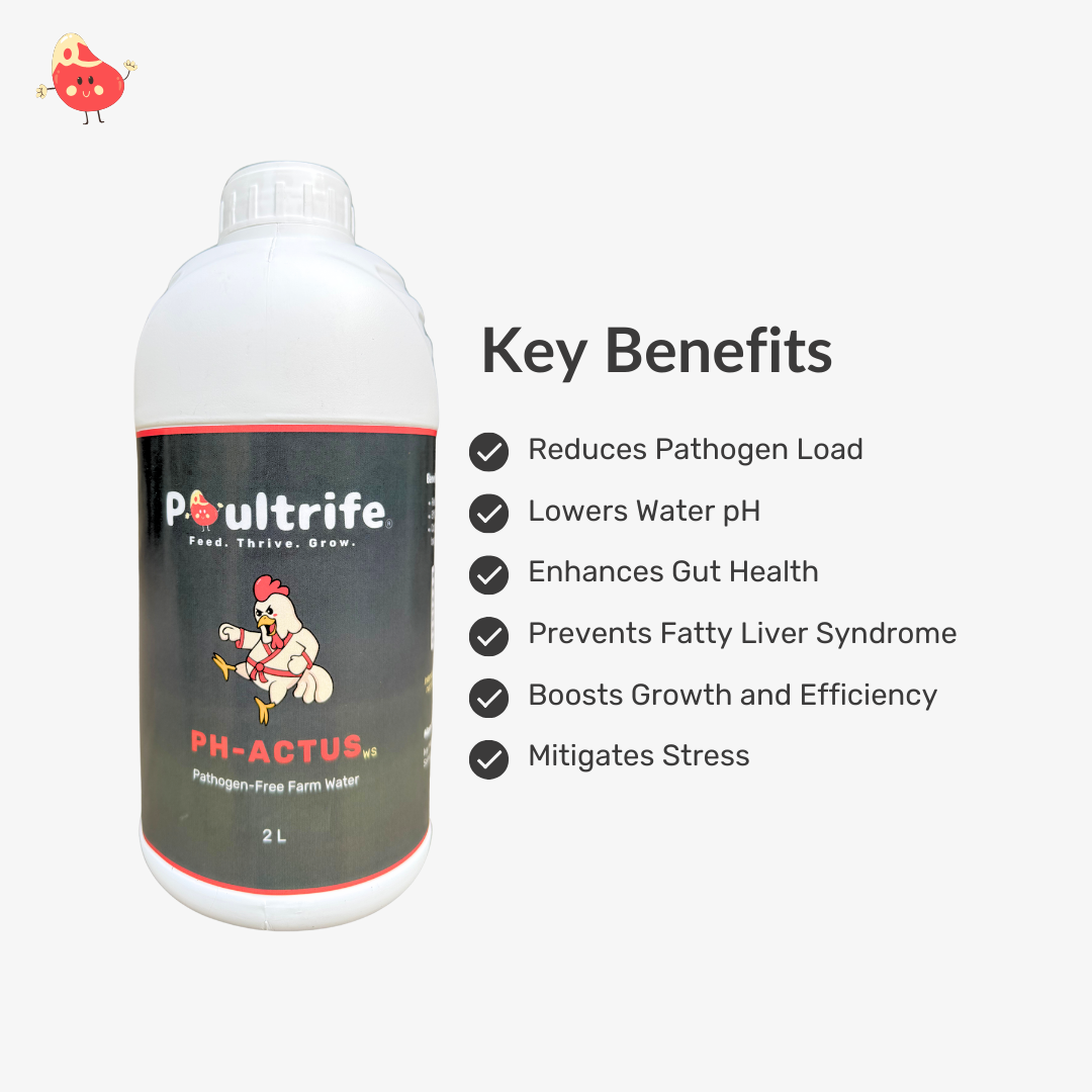 PH-ACTUS WS – Clean Water, Healthy Poultry