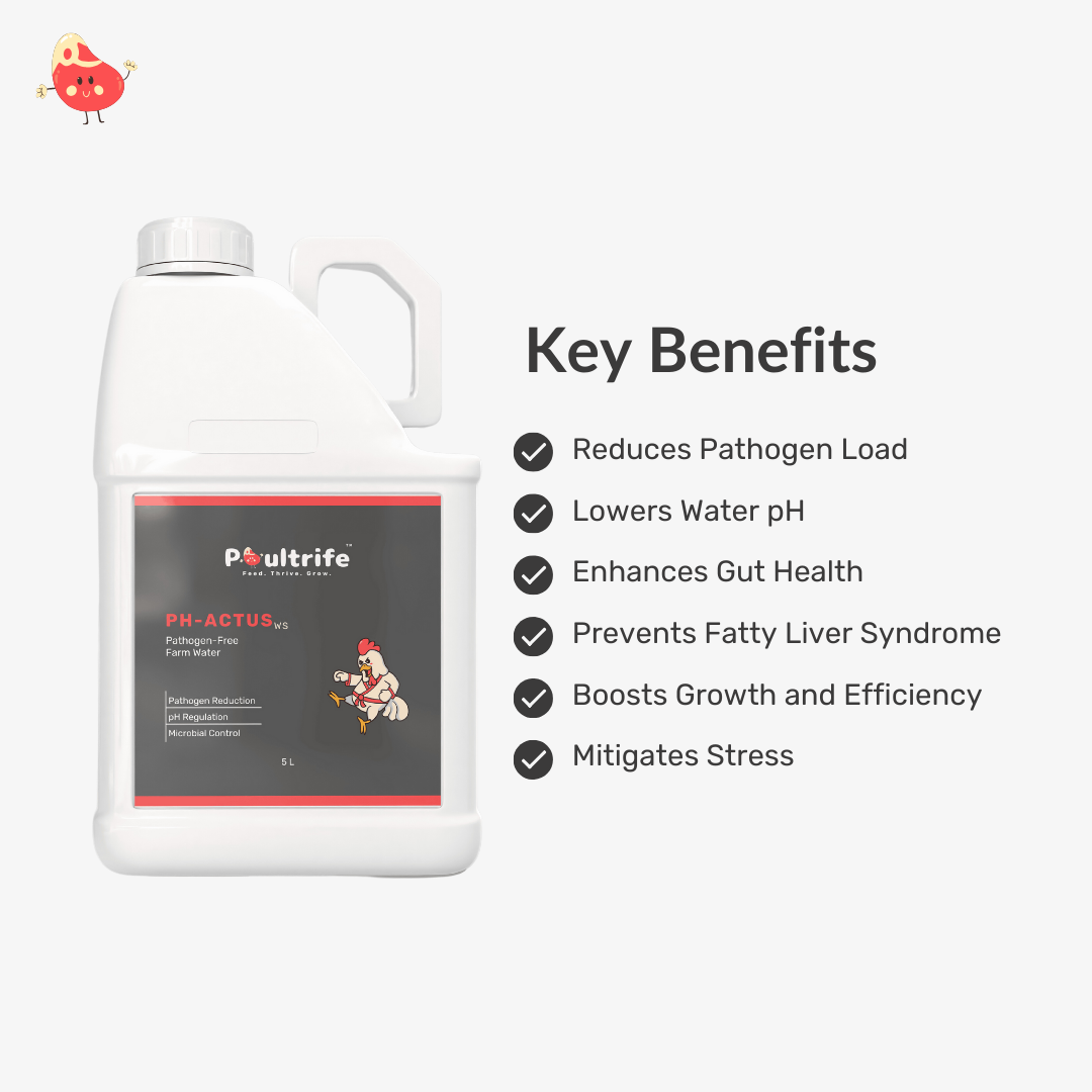 PH-ACTUS WS – Clean Water, Healthy Poultry