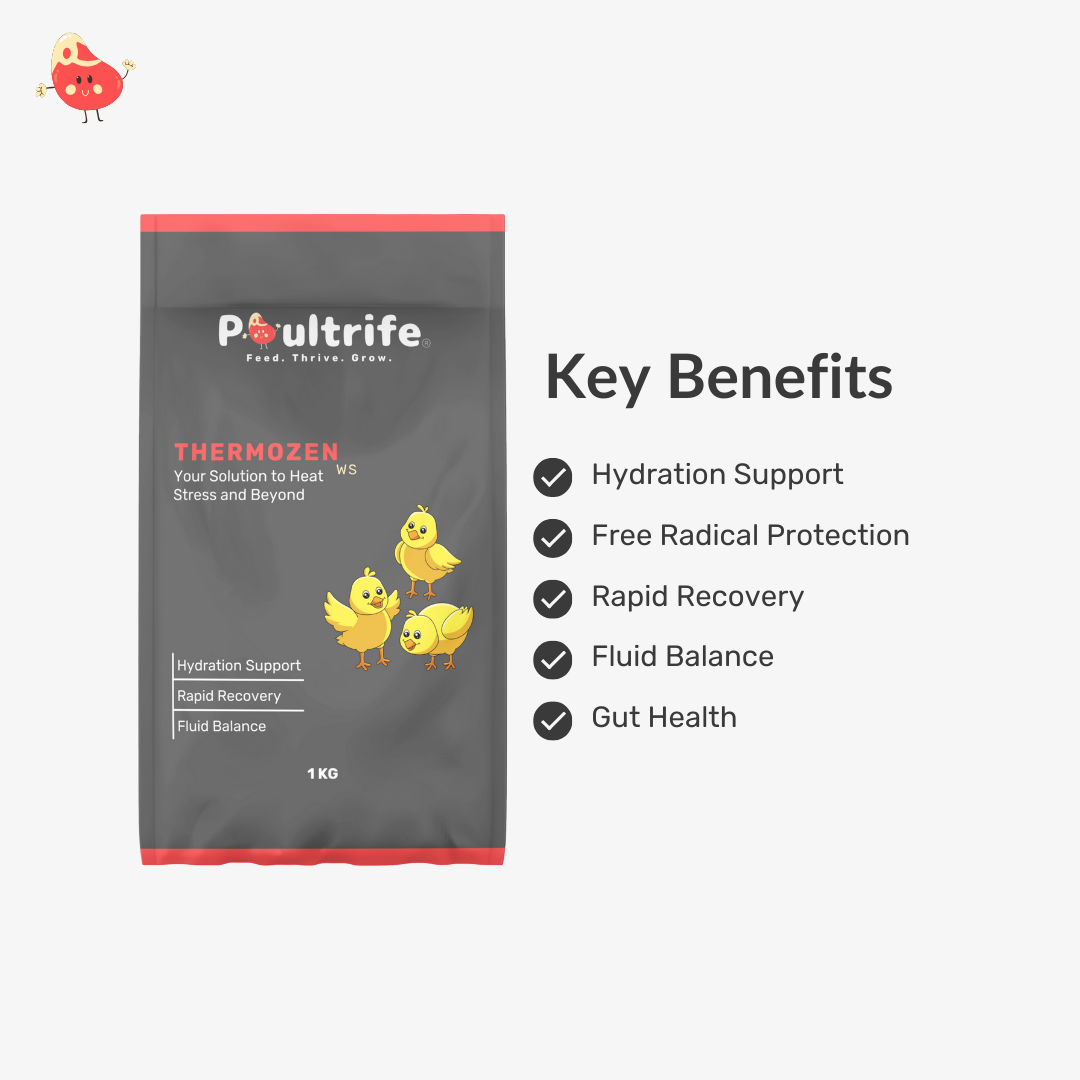 THERMOZEN WS – Combat Heat Stress, Keep Birds Cool