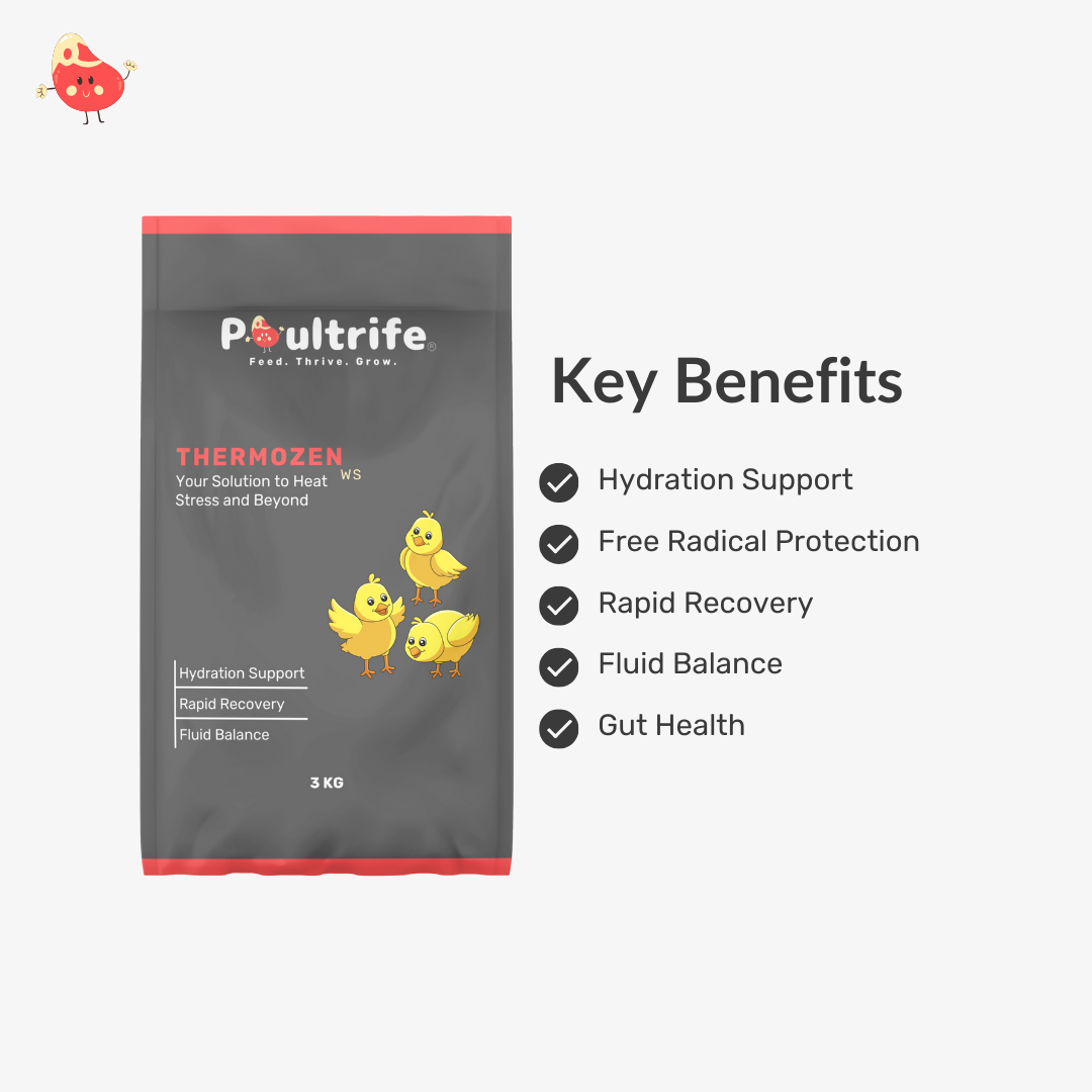 THERMOZEN WS – Combat Heat Stress, Keep Birds Cool