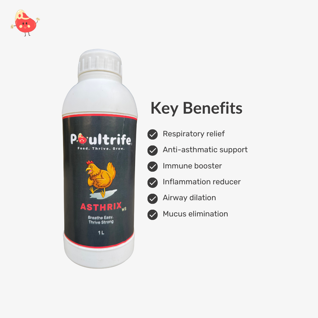 ASTHRIX WS – Herbal Relief for Respiratory Health in Poultry