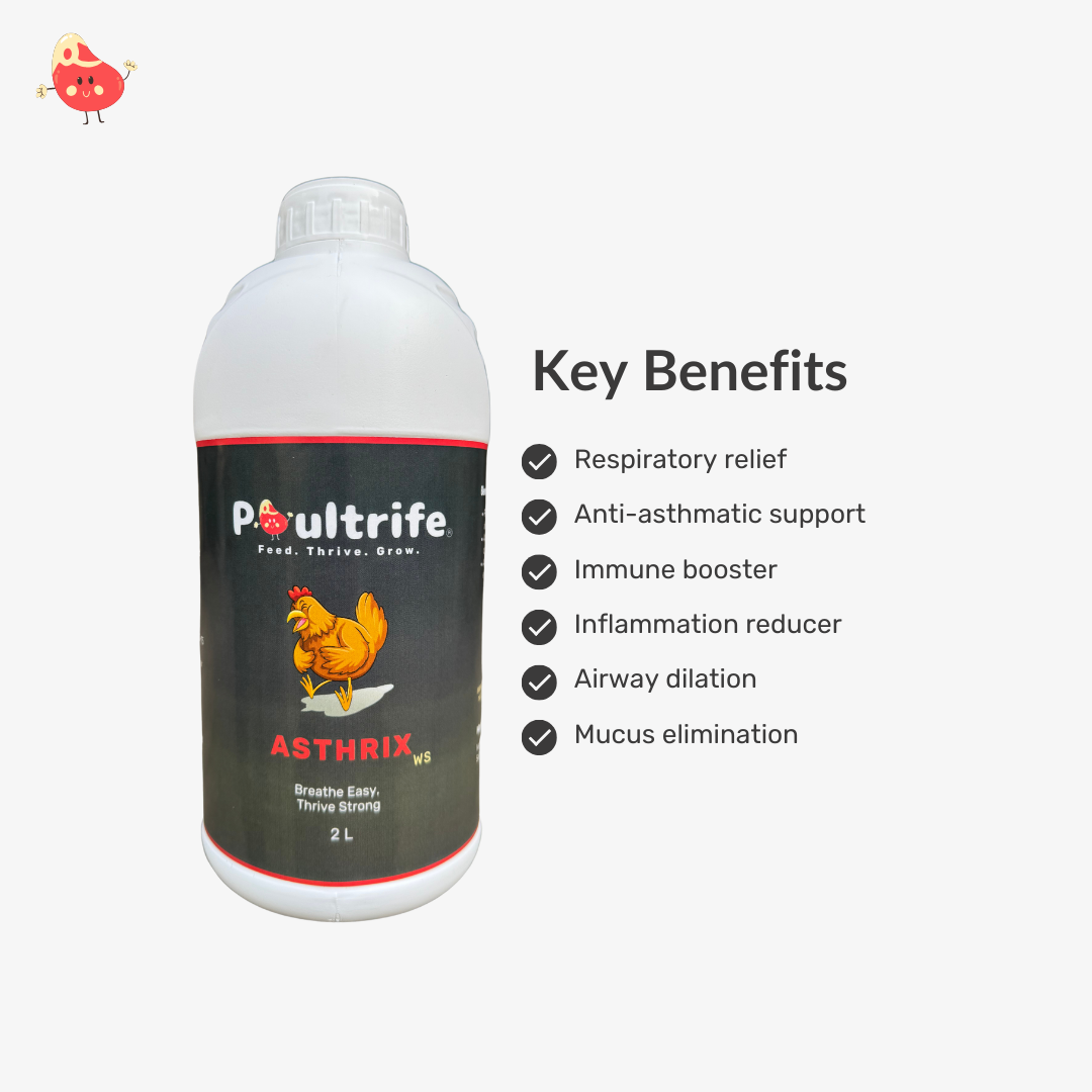 ASTHRIX WS – Herbal Relief for Respiratory Health in Poultry