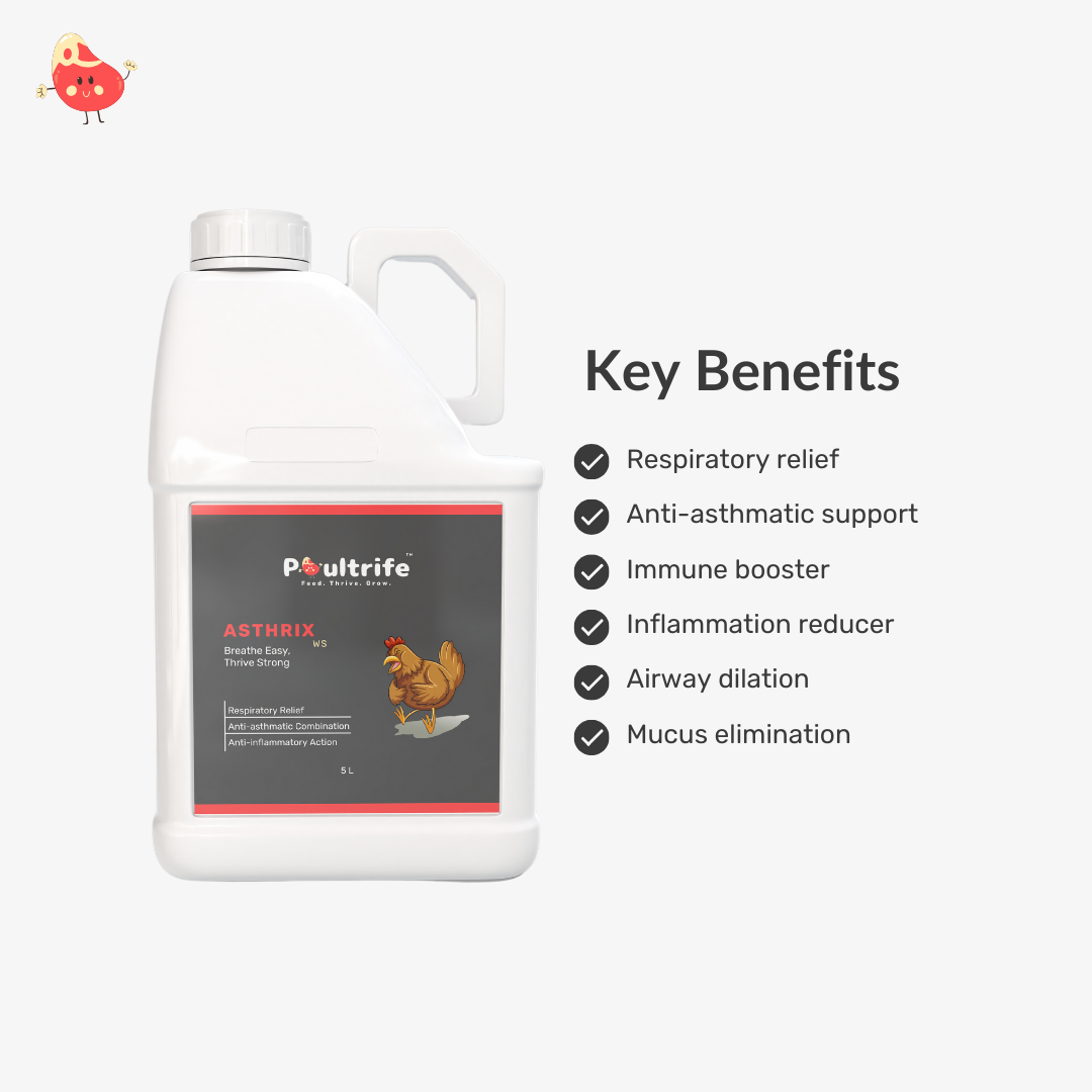 ASTHRIX WS – Herbal Relief for Respiratory Health in Poultry