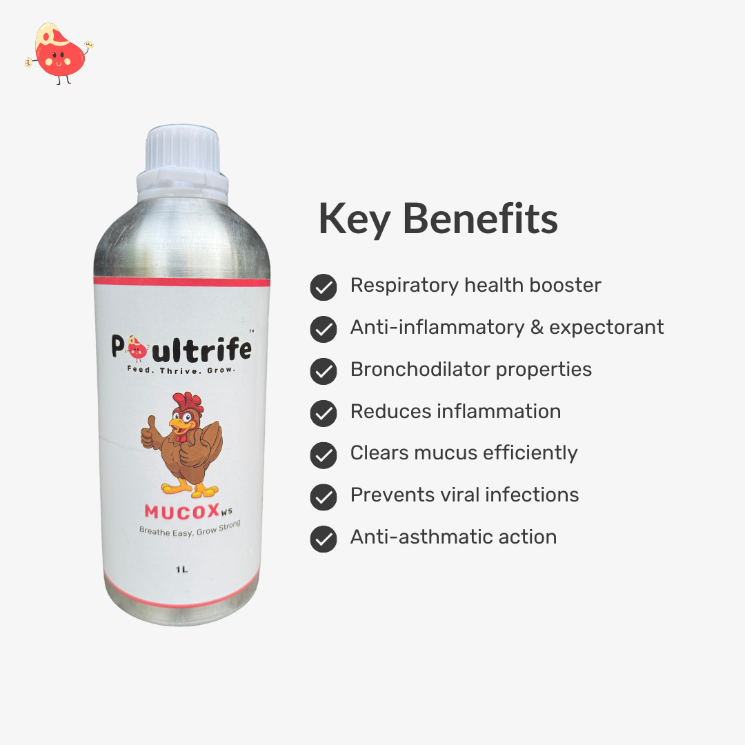MUCOX WS – Herbal Respiratory Tonic for Poultry