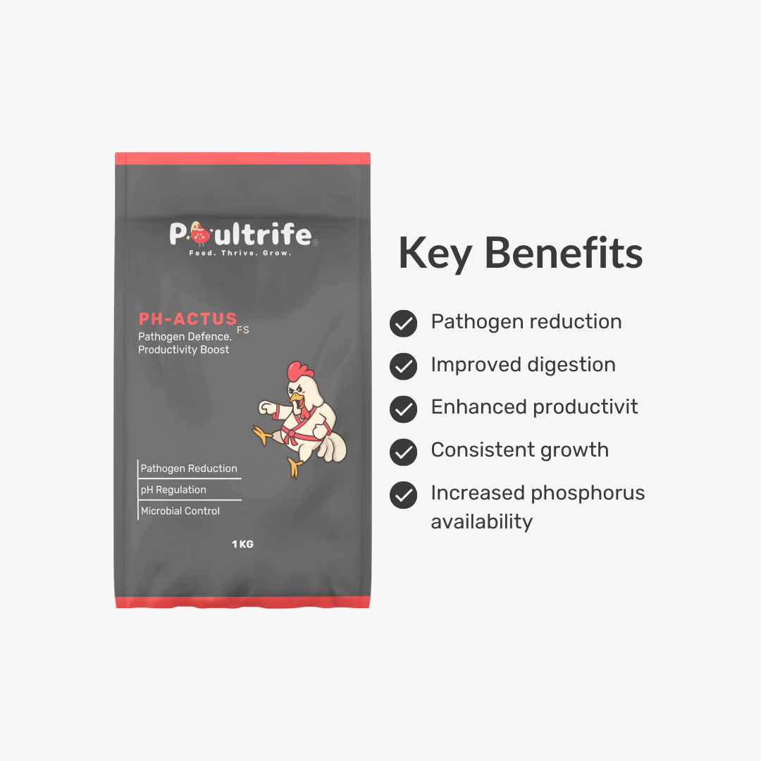 PH-ACTUS FS – Feed Acidifier for Gut Health & Pathogen Control