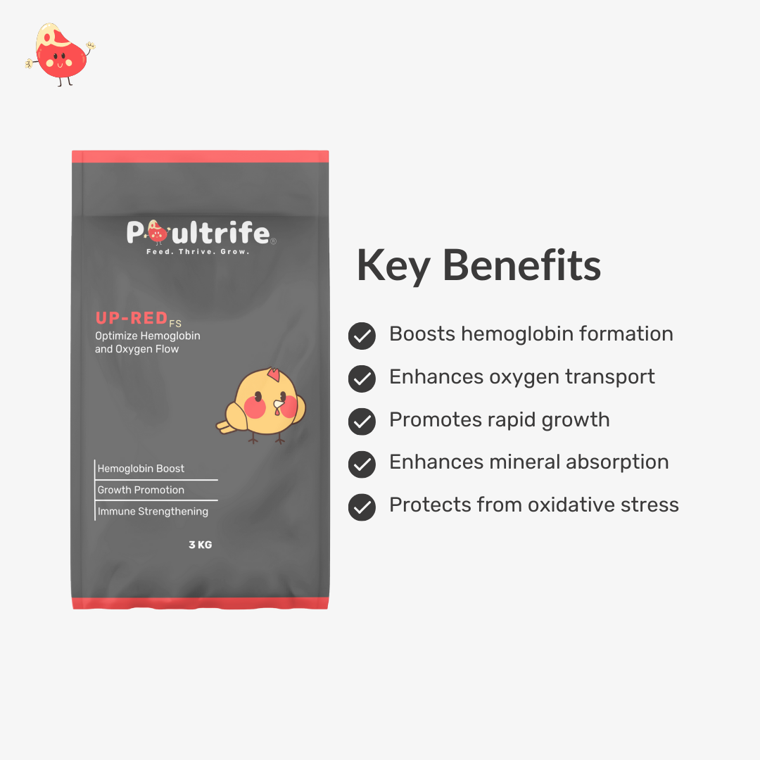 UP-RED FS – Hemoglobin Booster for Growth & Immunity
