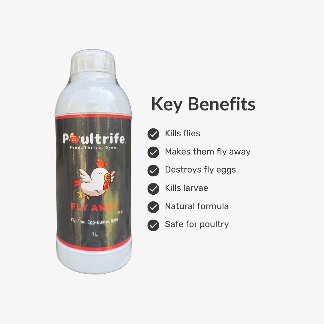 Fly Away WS – Natural Fly Repellent for Poultry