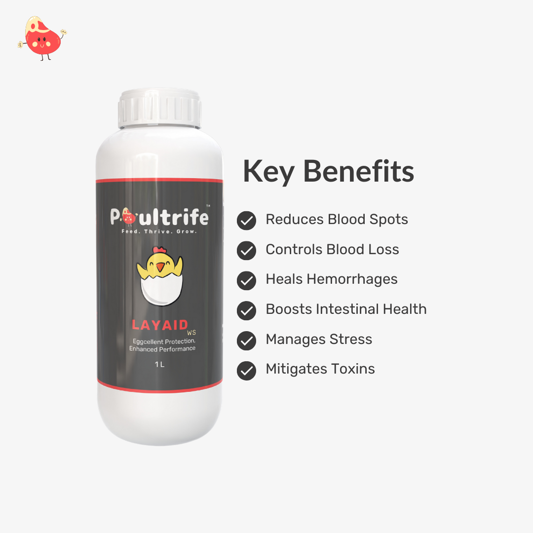 LAYAID WS – Eggcellent Protection for Poultry Health LAYAID WS – Eggcellent Protection for Poultry Health
