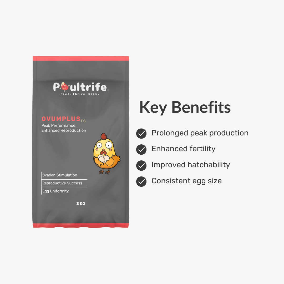 OVUMPLUS FS – Peak Reproductive Performance Feed Supplement