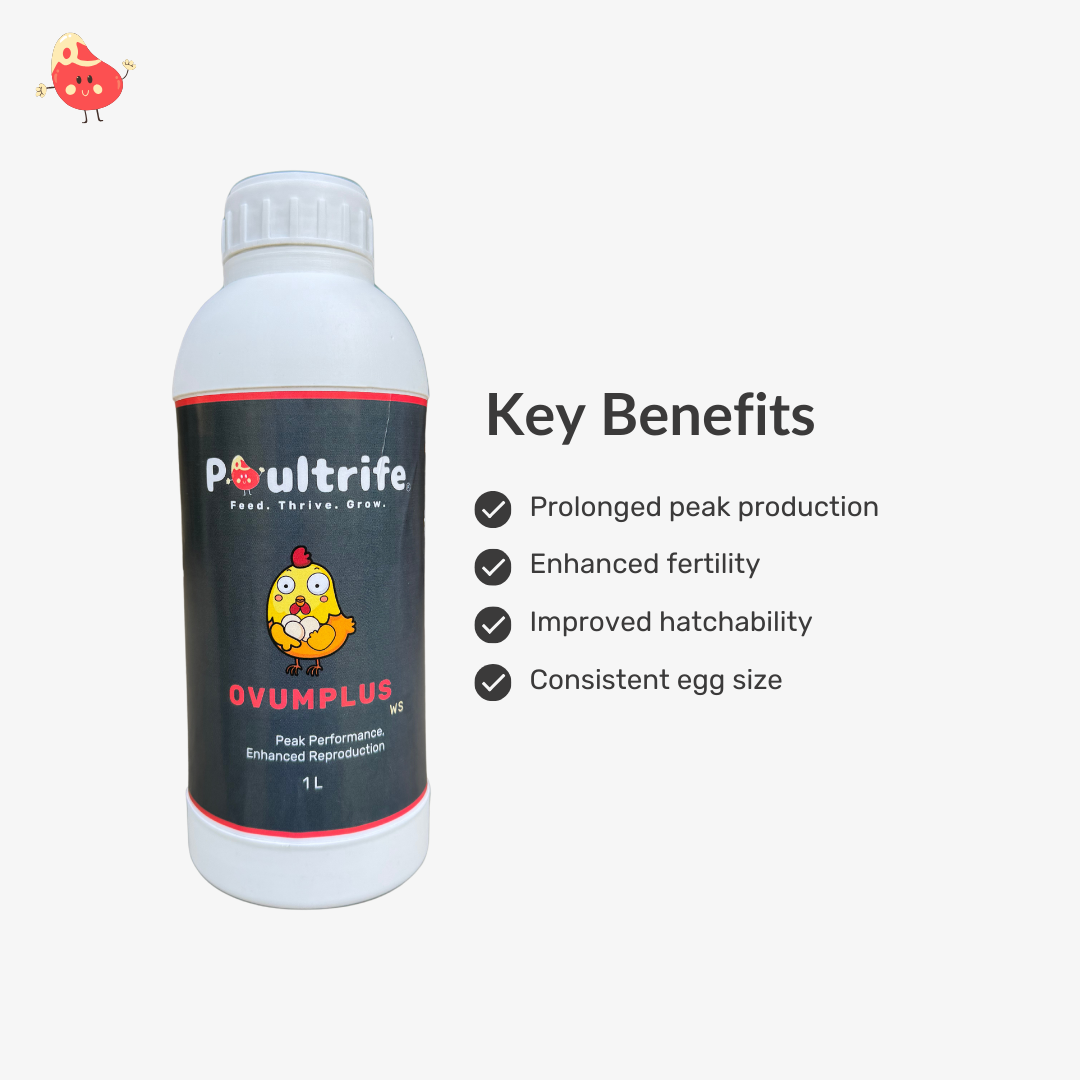 OVUMPLUS WS – Reproductive Performance via Water