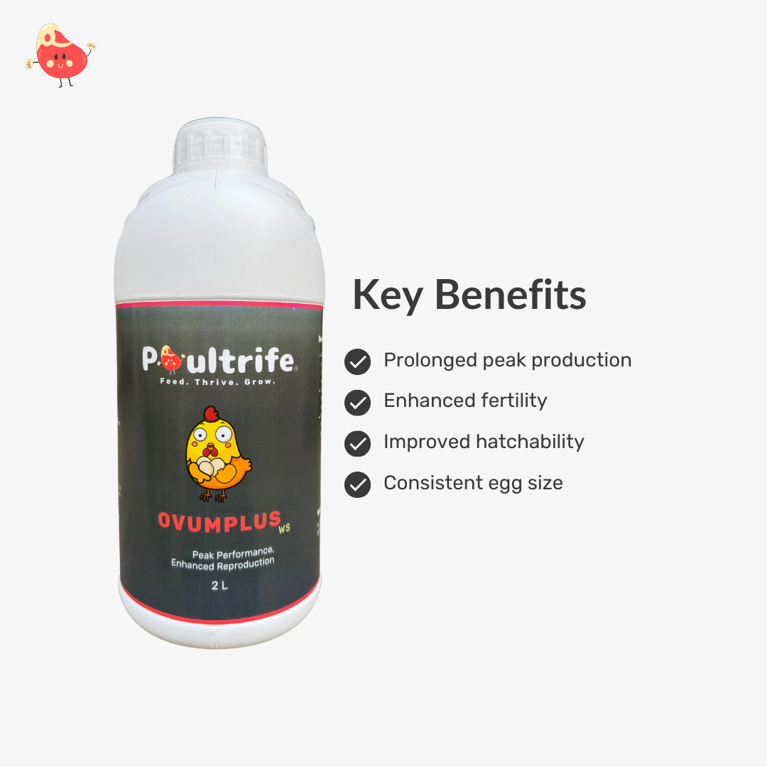 OVUMPLUS WS – Reproductive Performance via Water
