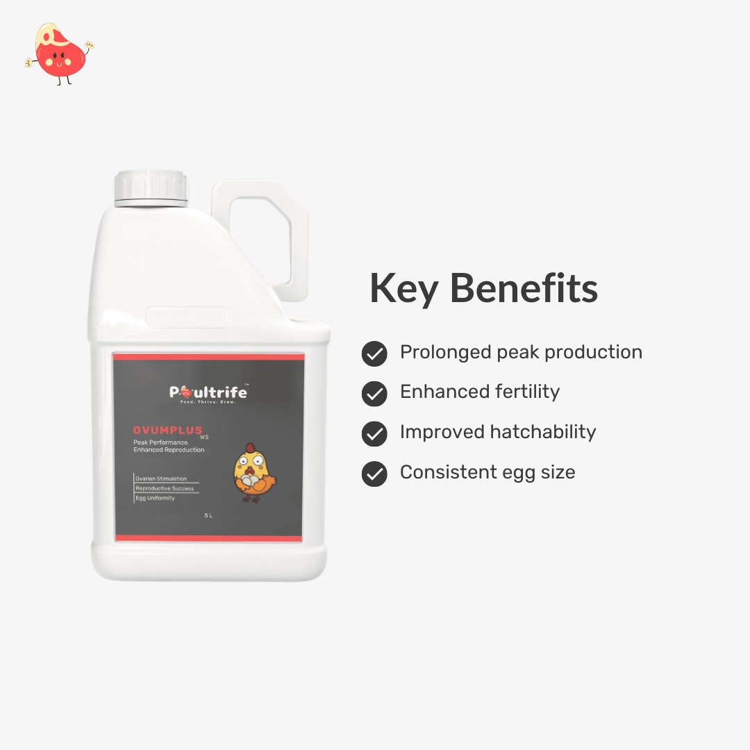 OVUMPLUS WS – Reproductive Performance via Water