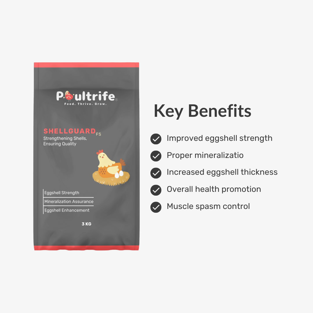 SHELL GUARD FS – Eggshell Strength Feed Supplement SHELL GUARD FS – Eggshell Strength Feed Supplement