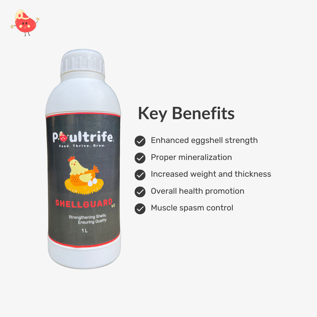 SHELL GUARD WS – Eggshell Quality via Water