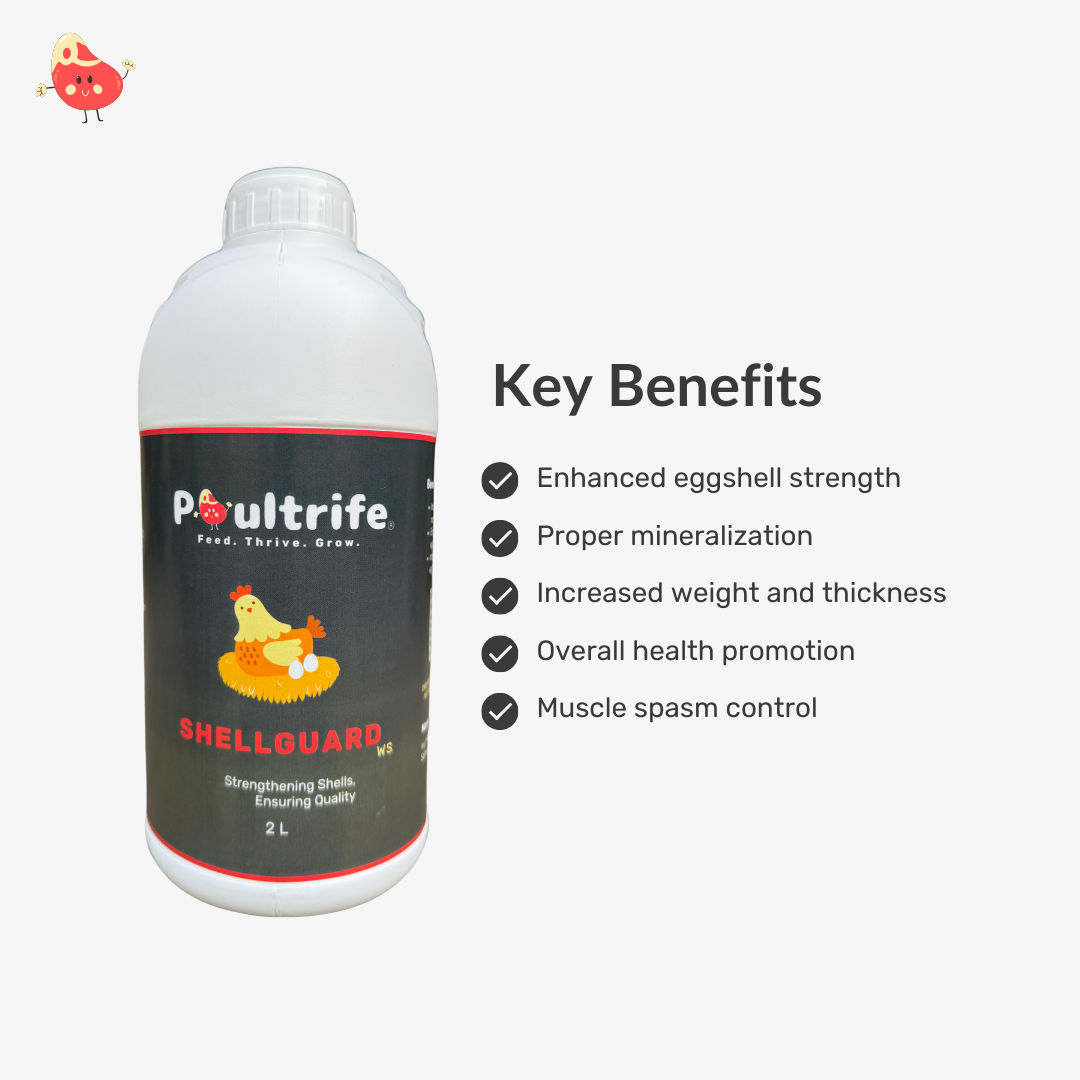 SHELL GUARD WS – Eggshell Quality via Water