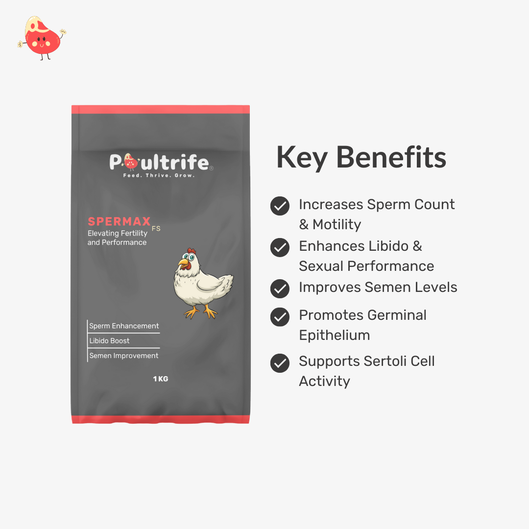 SPERMAX FS – Fertility Booster Through Feed