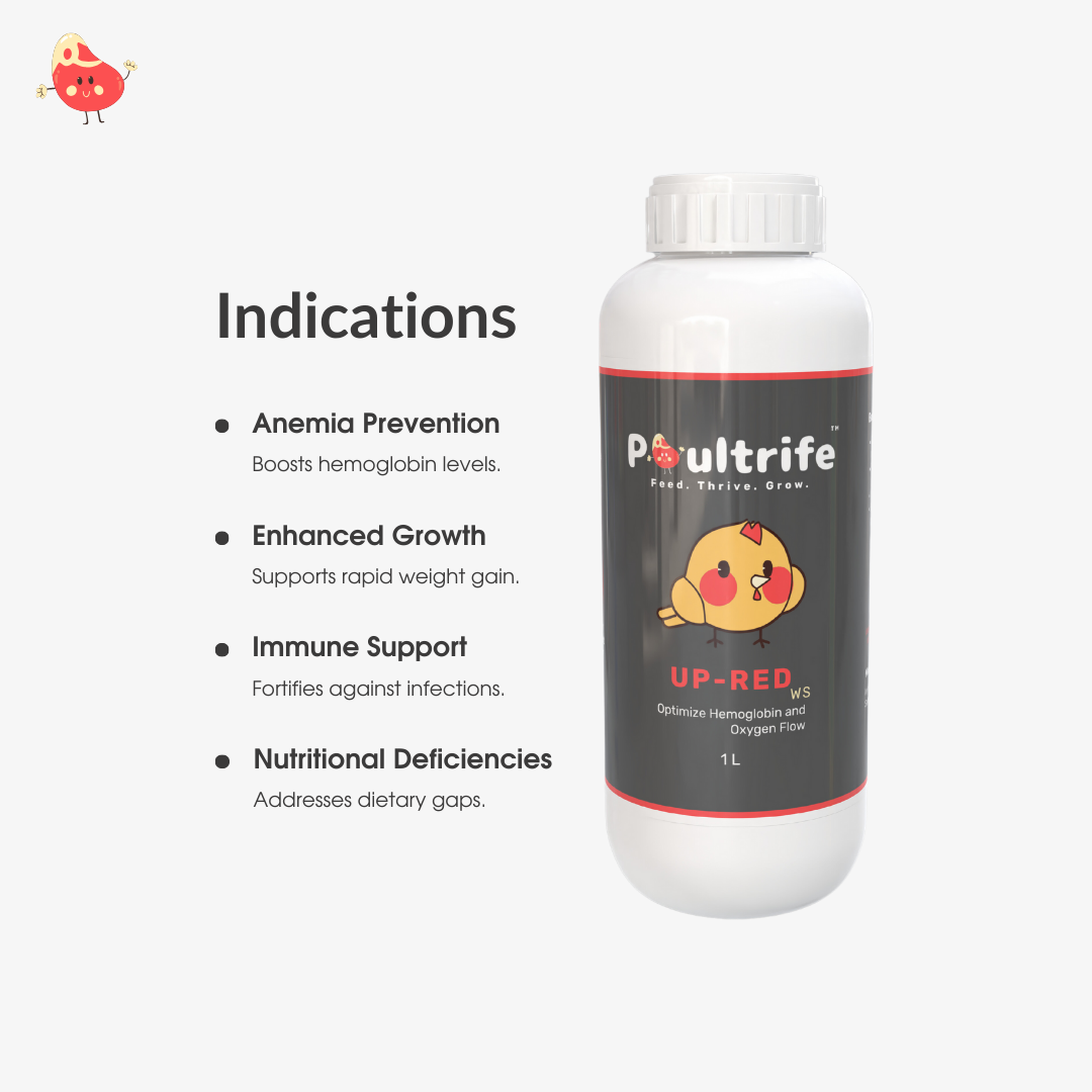 UP-RED WS – Weight Booster + Iron Tonic for Poultry