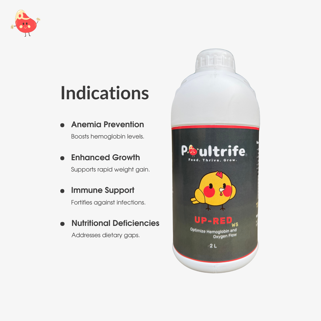UP-RED WS – Weight Booster + Iron Tonic for Poultry