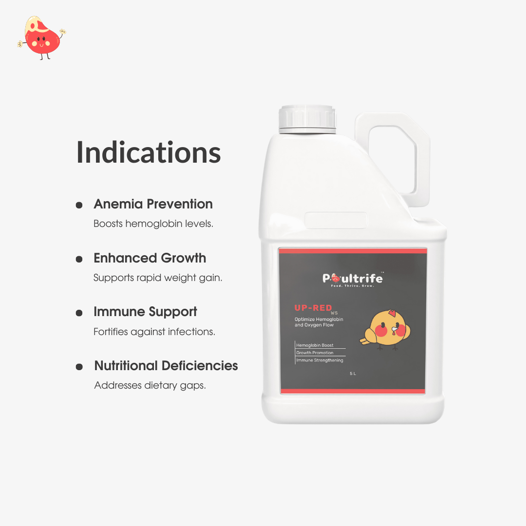 UP-RED WS – Weight Booster + Iron Tonic for Poultry