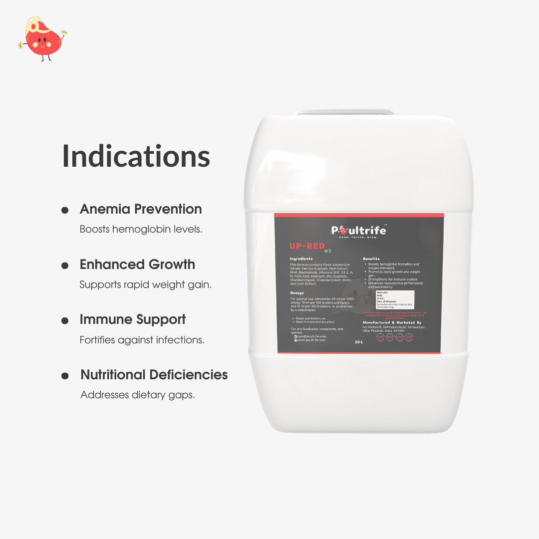 UP-RED WS – Weight Booster + Iron Tonic for Poultry