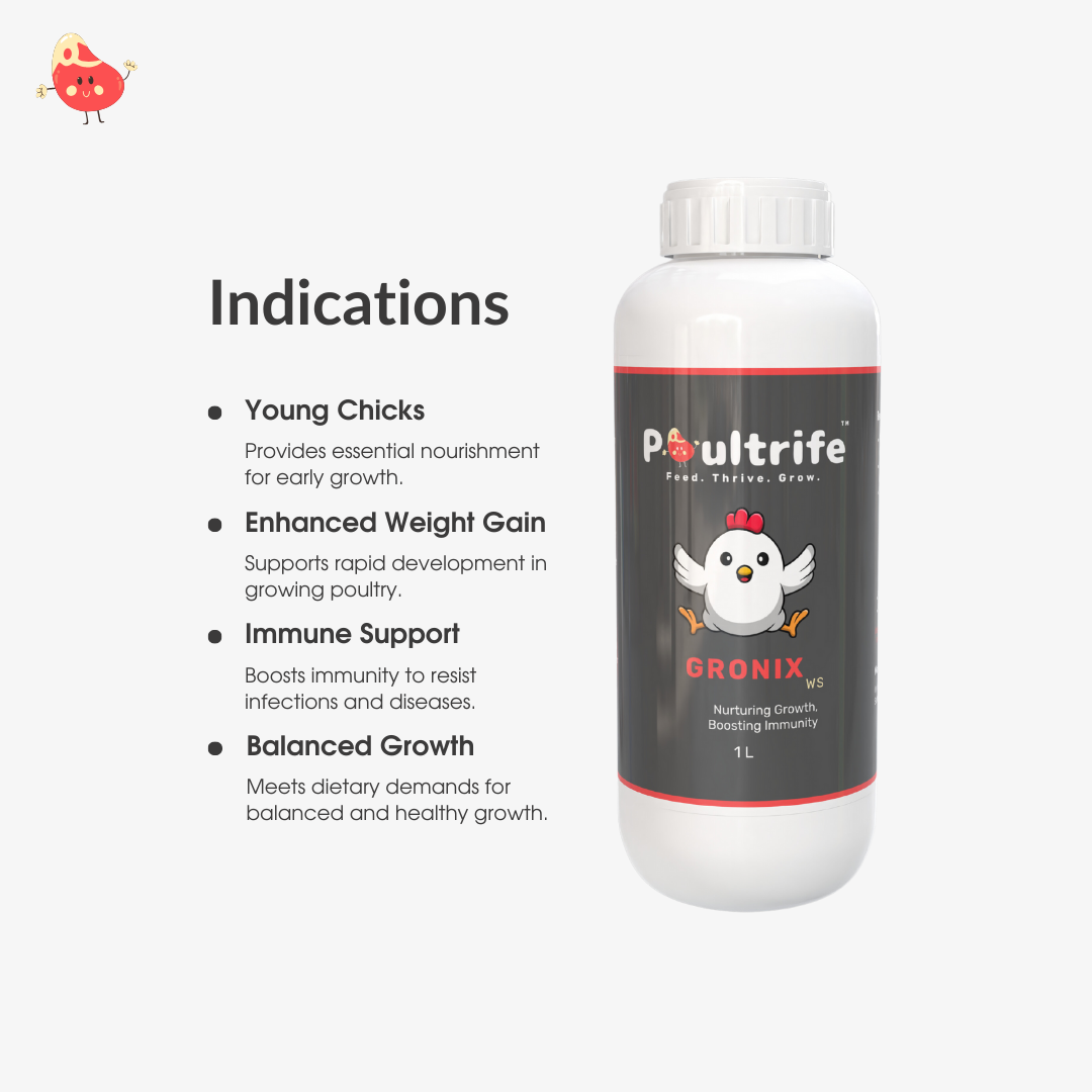 GRONIX WS – Complete Starter Tonic for Young Chicks GRONIX WS – Complete Starter Tonic for Young Chicks