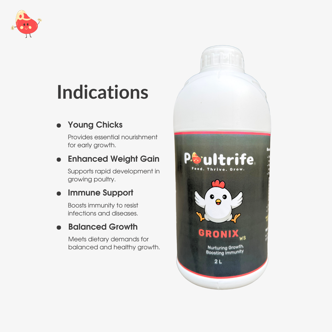 GRONIX WS – Complete Starter Tonic for Young Chicks GRONIX WS – Complete Starter Tonic for Young Chicks