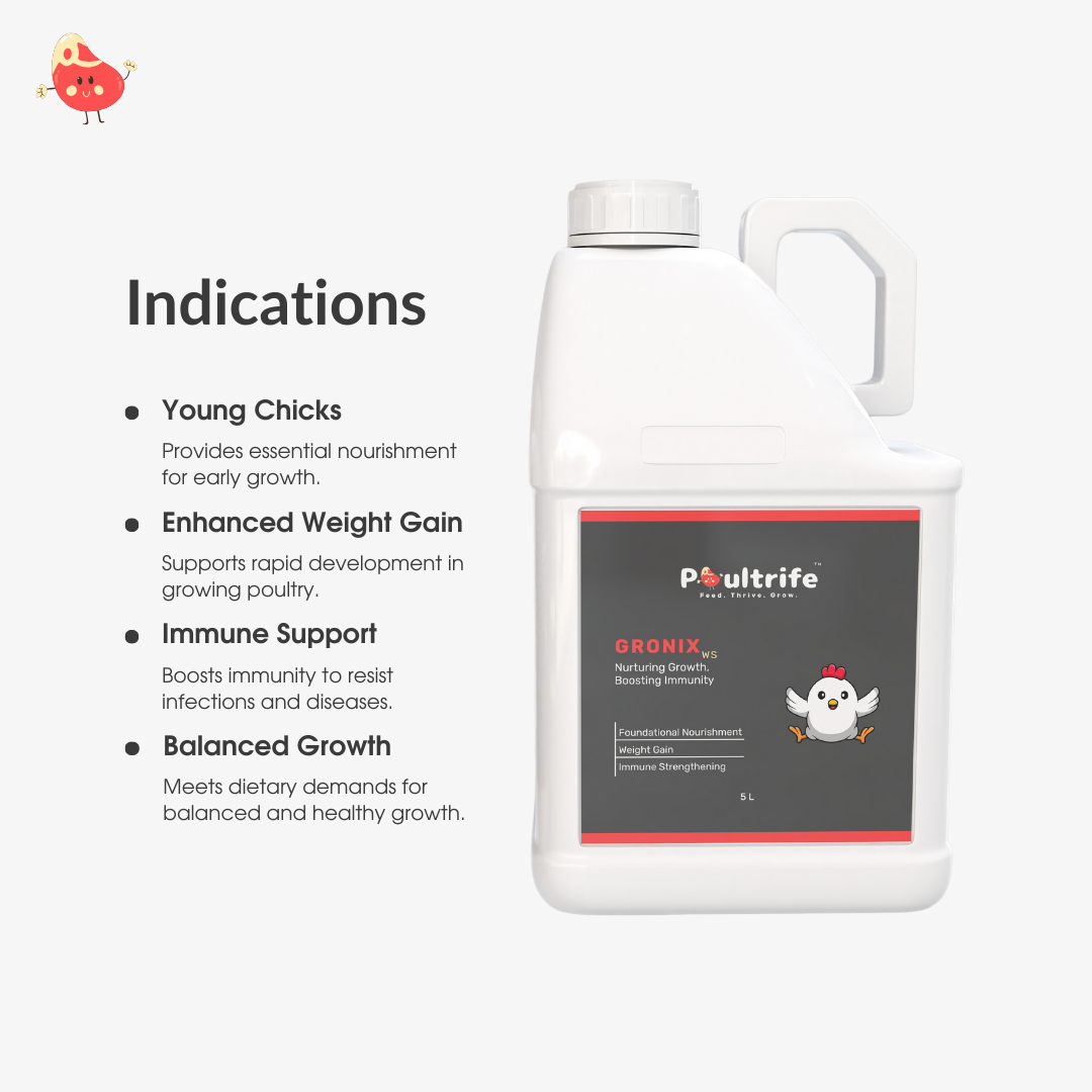 GRONIX WS – Complete Starter Tonic for Young Chicks GRONIX WS – Complete Starter Tonic for Young Chicks