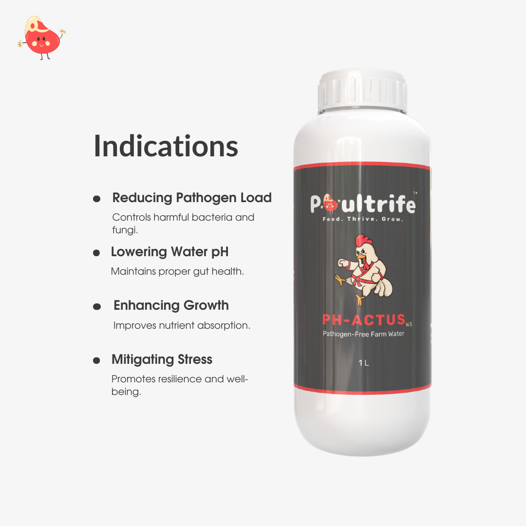 PH-ACTUS WS – Clean Water, Healthy Poultry